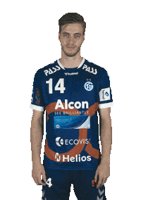 tvgrosswallstadt handball applaus großwallstadt tv großwallstadt Sticker