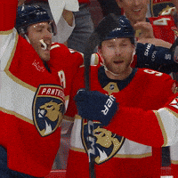 Group Hug Smile GIF by Florida Panthers