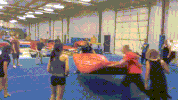 hall idiots GIF