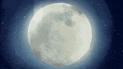 To The Moon Falling GIF by The Lunartics