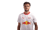 Red Bull Yes Sticker by RB Leipzig