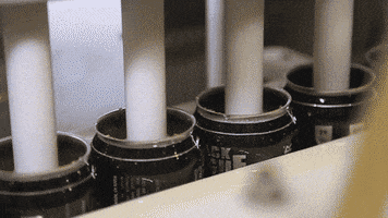 blackplaguebrewing craft beer brewery craft brewery beer cans GIF