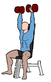Dumbbellpress Sticker by Graduate_Fitness