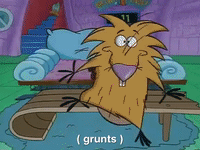 nickrewind nicksplat angry beavers GIF