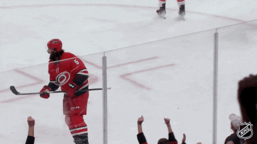 Happy Carolina Hurricanes GIF by NHL