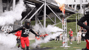 University Of Cincinnati Uc Football GIF by Cincinnati Bearcats