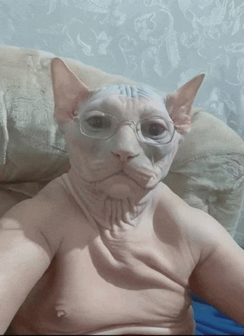 Cat Victor GIF