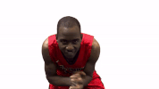 columbus state csu GIF by Columbus State University Athletics