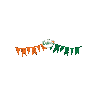 Festa Junina Nordeste Sticker by brfsadia