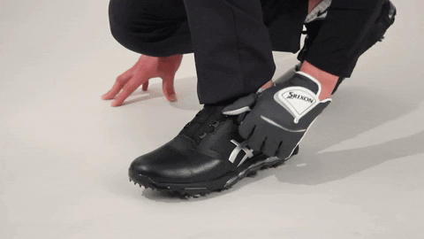 majorworld giphygifmaker GIF