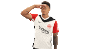 Looking Around Eintracht Frankfurt Sticker by Bundesliga