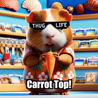 Carrot Top Vacation GIF by Guinea Gambino