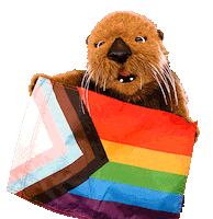 Sea Otter Love Sticker by Aquarium of the Pacific