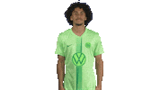 Swipe Up France Sticker by VfL Wolfsburg