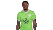 Football Swipe Up Sticker by VfL Wolfsburg