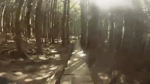 jeffreyjosephkendallweed giphygifmaker GIF