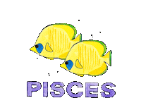 Star Rising Sticker by Silvie Bomhard