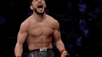 Mixed Martial Arts Knockout GIF by ESPN