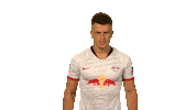 Red Bulls Wtf Sticker by Bundesliga