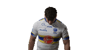 The Wire Ashton Sticker by Warrington Wolves
