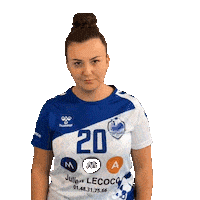 HBCLivry-Gargan handball hb senior hbc Sticker