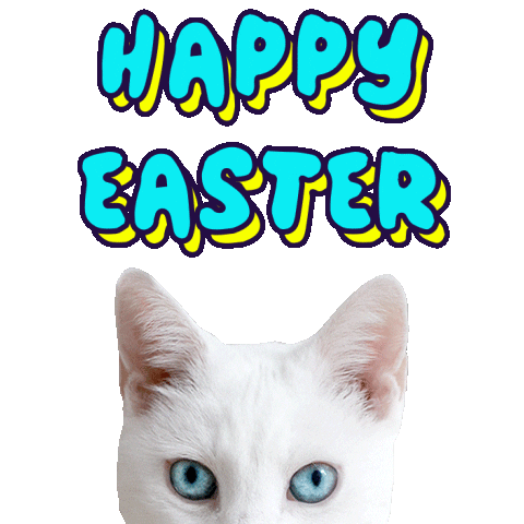 Easter Bunny Cat Sticker