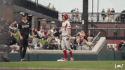 Ncaa Baseball Shrug GIF by Arkansas Razorbacks