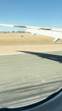 Travel Flying GIF