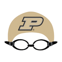 Pool Swimming Sticker by Purdue University