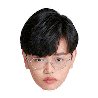 Fw Flashwolves Sticker