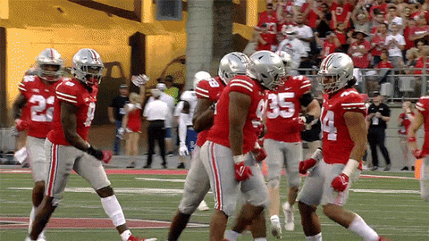 Ohio State Buckeyes Football GIF by Ohio State Athletics