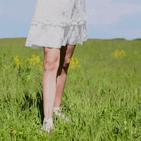 Happy Dance GIF by Tabi Ninja