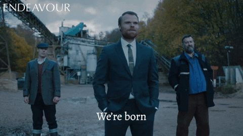 GIF by Mammoth Screen