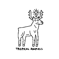 tropical-animals tropical tropical animals tropical firenze Sticker