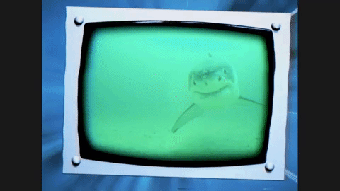 discovery channel swimming GIF by Discovery Europe