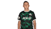 Borussia Moenchengladbach Arms Sticker by Bundesliga