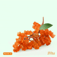 GoVita  GIF