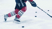 GIF by IFK_Helsinki