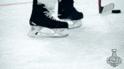 ice hockey sport GIF by NHL