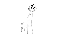 Illustration Deer Sticker