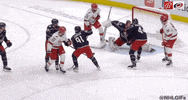 Happy Ice Hockey GIF by NHL