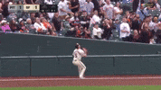 San Francisco Giants Wow GIF by MLB