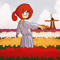 Tulip Fields Netherlands GIF