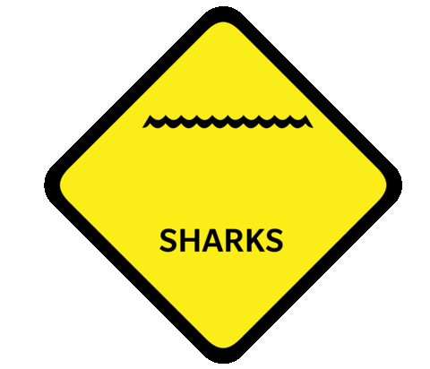 lifesavingqld giphyupload ocean sign shark Sticker