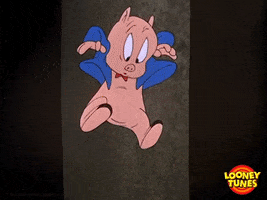 Porky Pig Wtf GIF by Looney Tunes