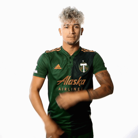 Portland Timbers Sport GIF by Timbers