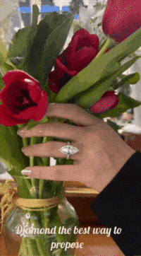 ShivShambuDiamonds diamond ring engagement ring shiv GIF