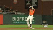 Major League Baseball Reaction GIF by MLB