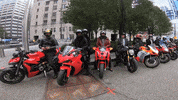 Motorcycles GIF by Gotham Ducati Desmo Owners Club