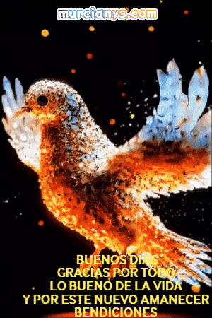 Gracias Amigos GIF by Murcianys LLC